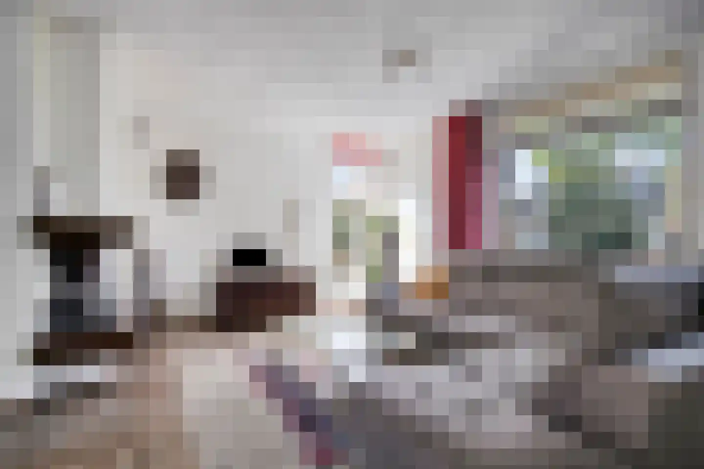 Kloosterhof 9 Veldhoven thumbnail 8
