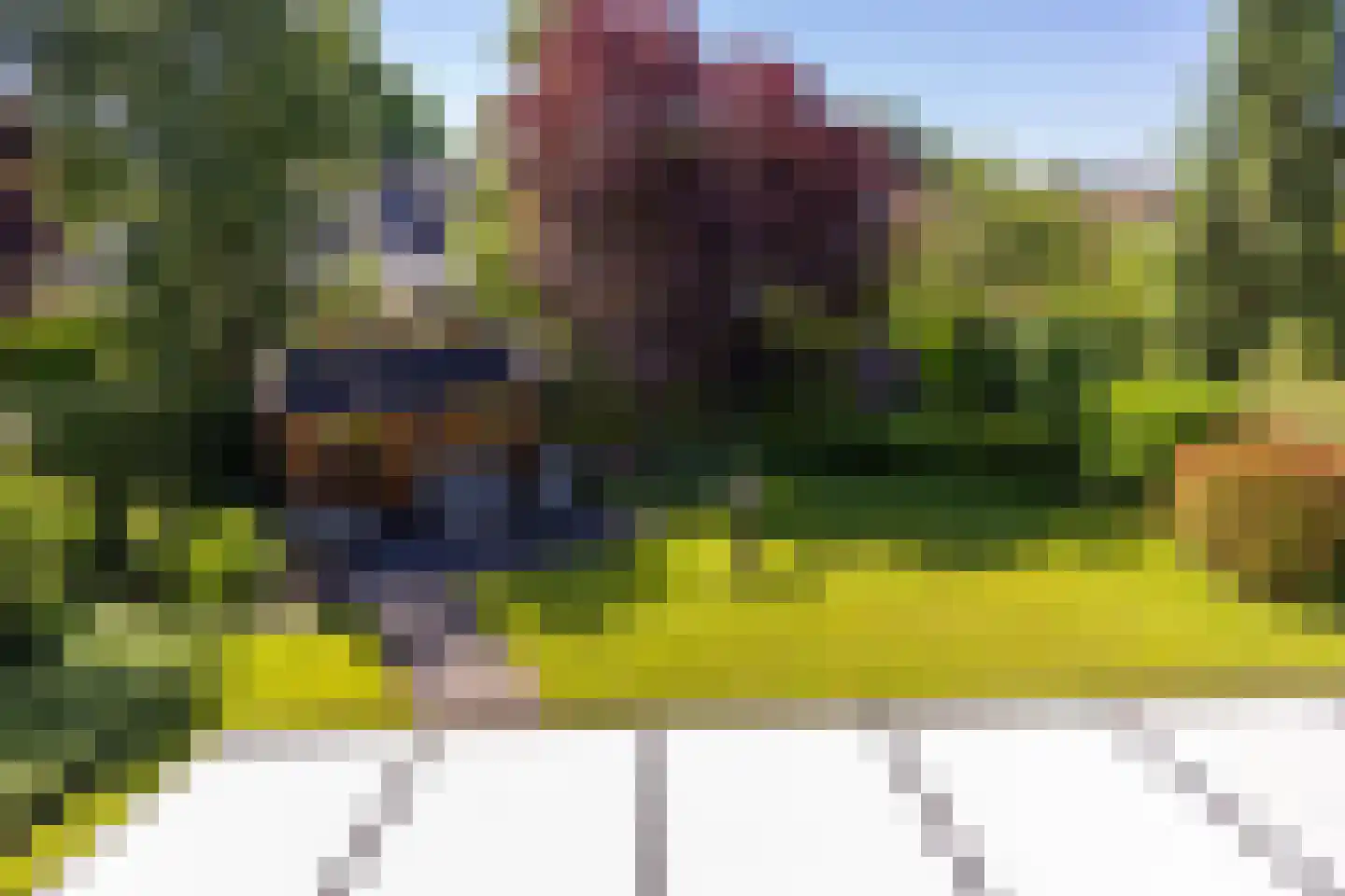 Kloosterhorn 4 Heiligerlee thumbnail 44