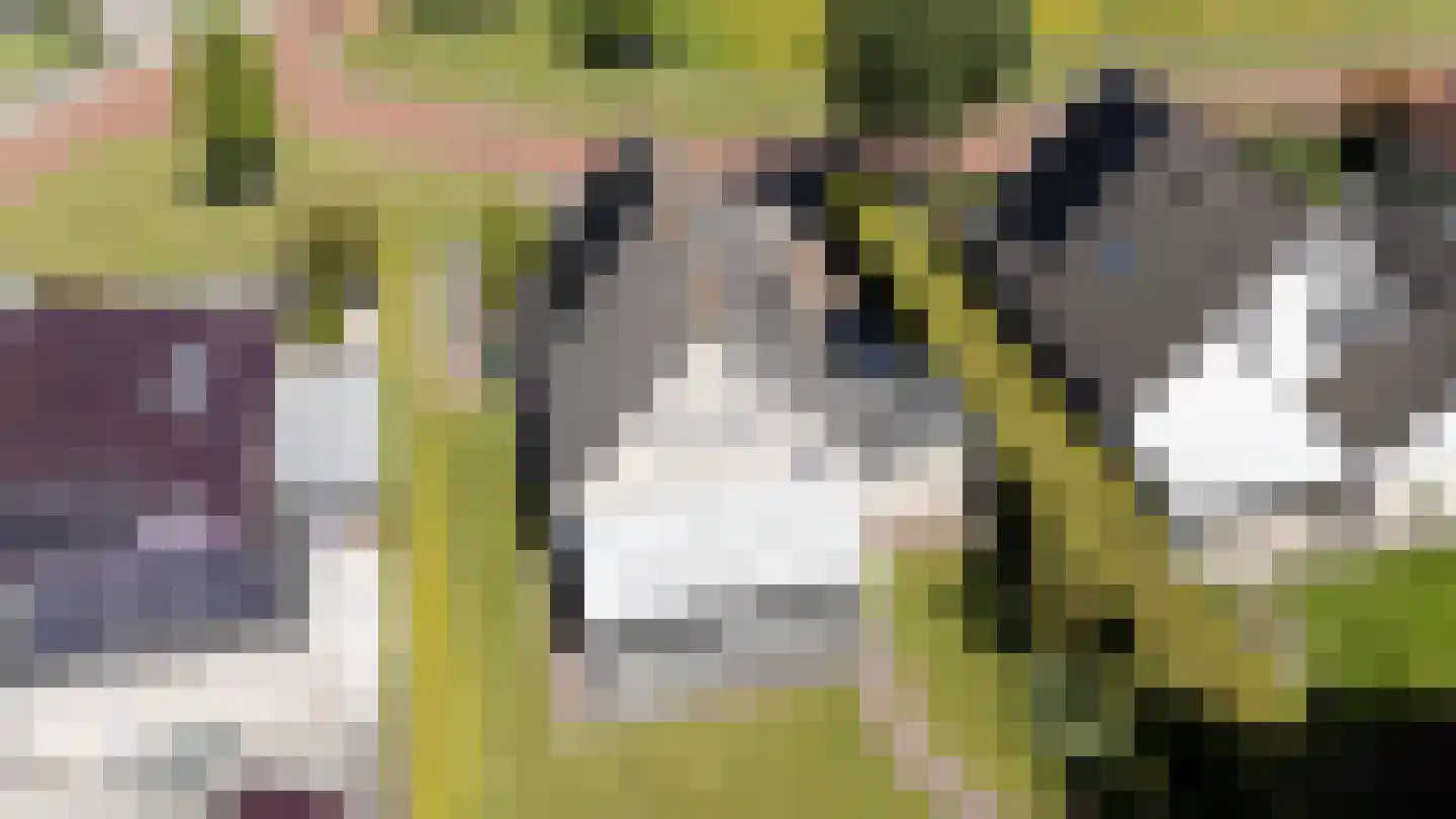 Kloosterhorn 4 Heiligerlee thumbnail 56