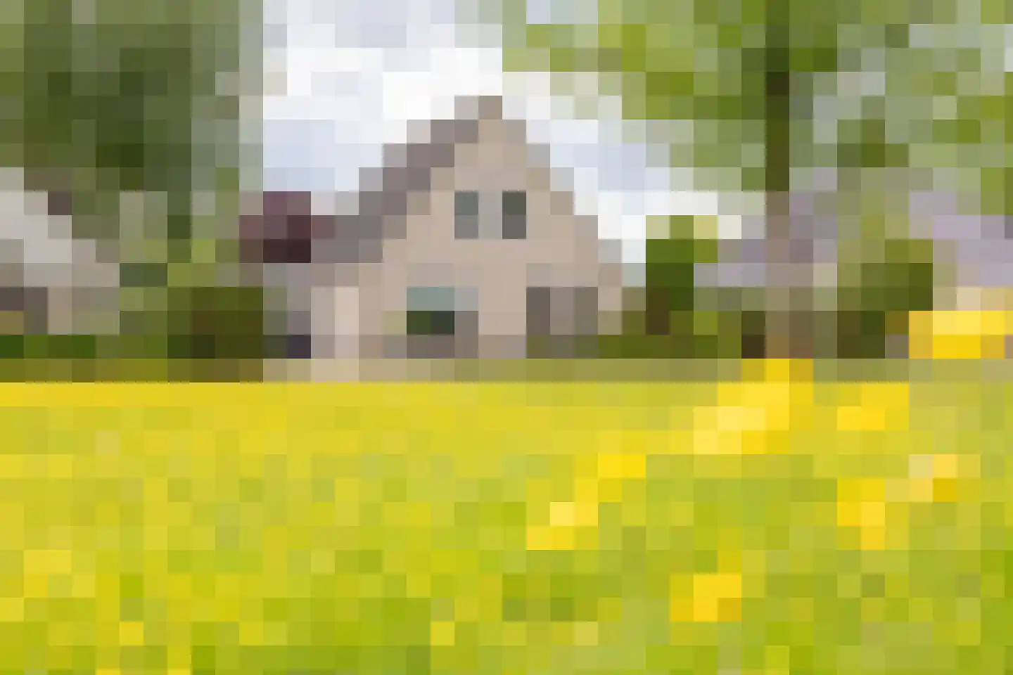 Kloosterhorn 4 Heiligerlee thumbnail 58