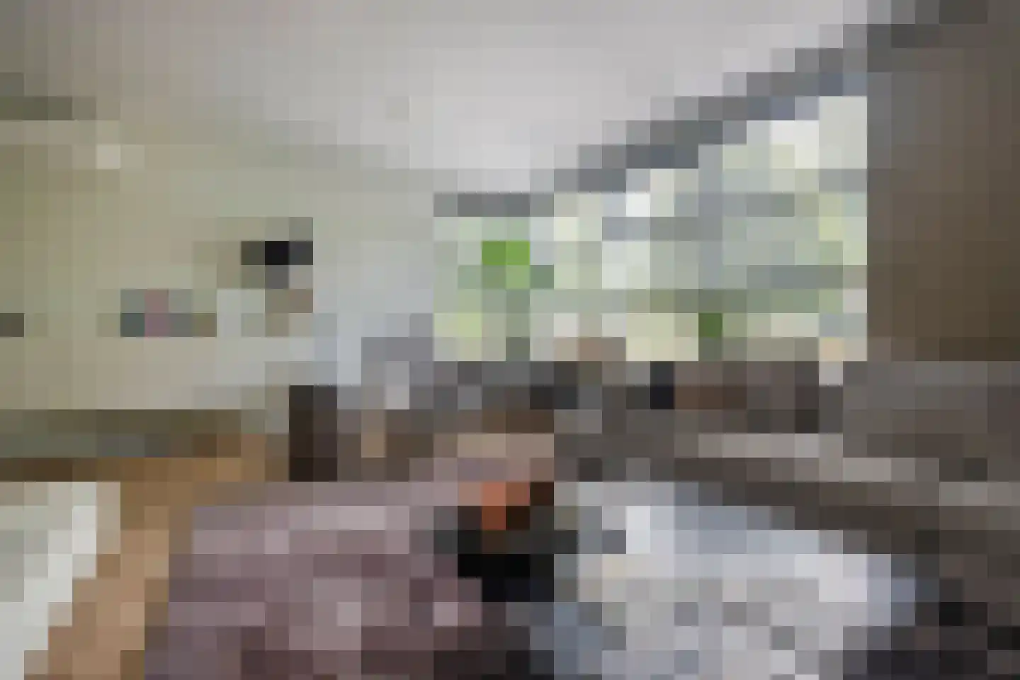 Kloosterhout 44 Assen thumbnail 14