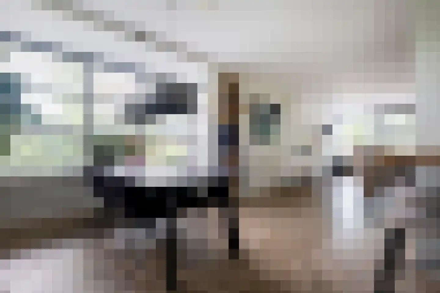 Kloosterhout 44 Assen thumbnail 27