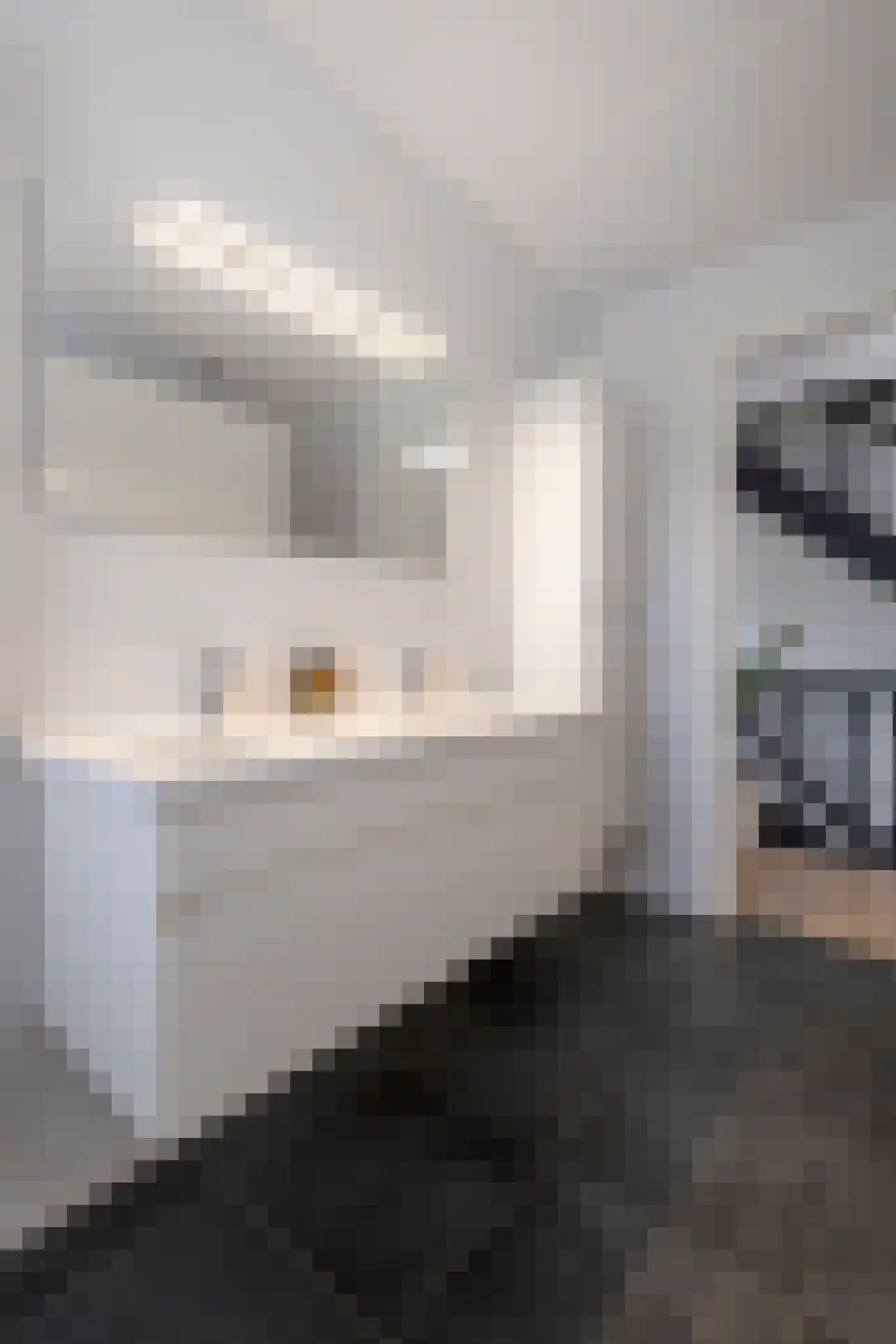 Kloosterhout 44 Assen thumbnail 38