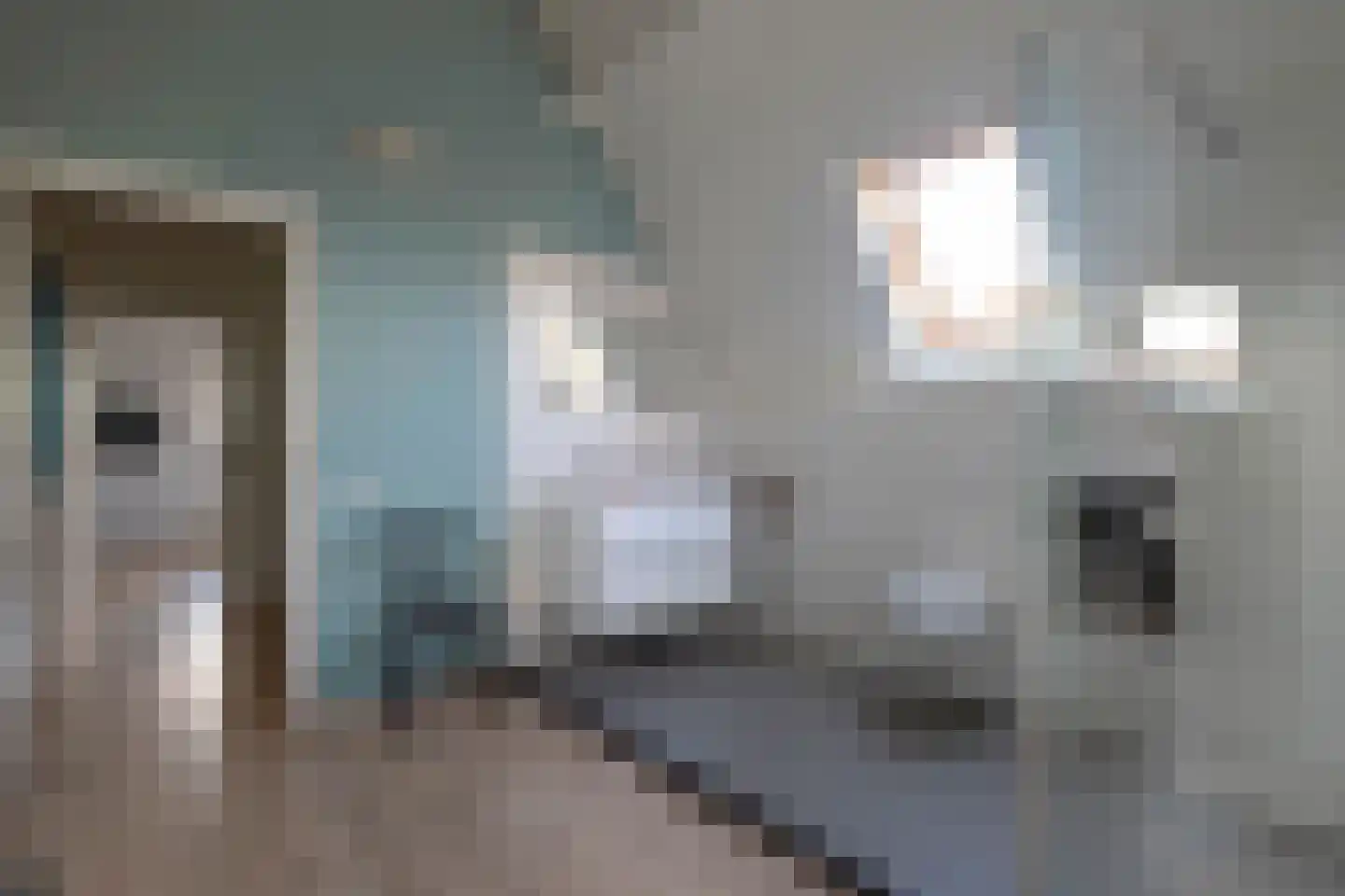 Kloosterhout 44 Assen thumbnail 48