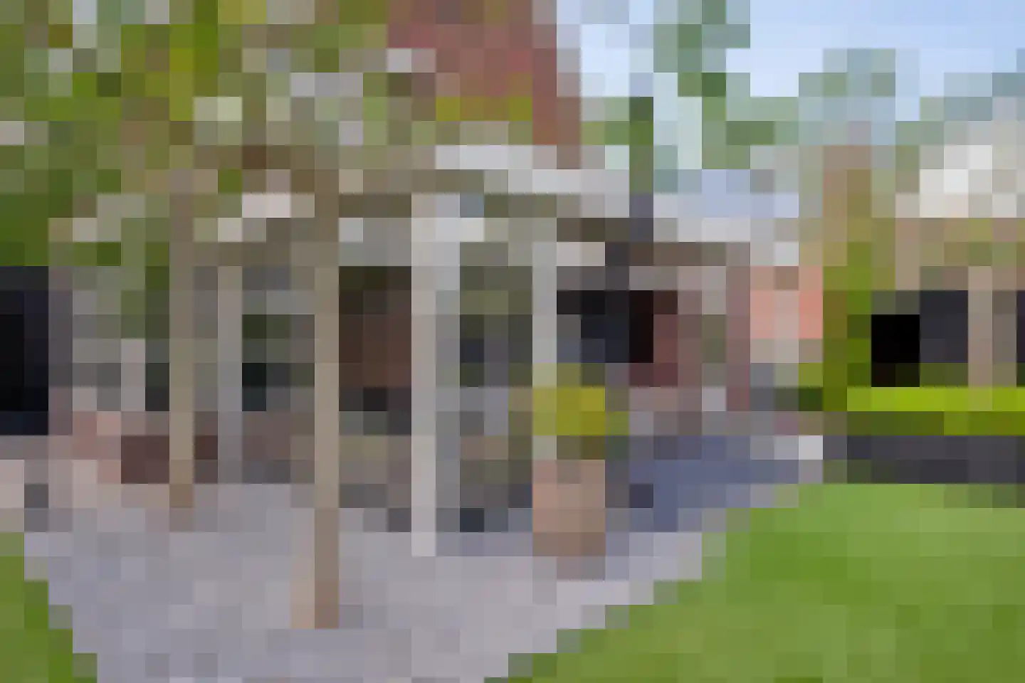 Kloosterhout 44 Assen thumbnail 63