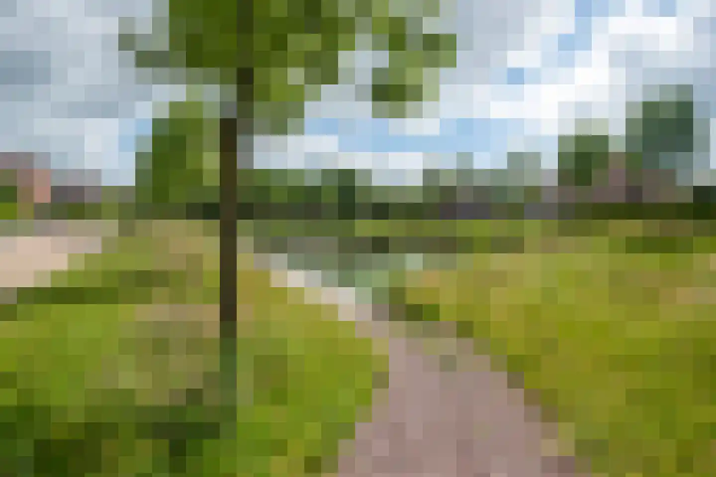 Kloosterhout 44 Assen thumbnail 73