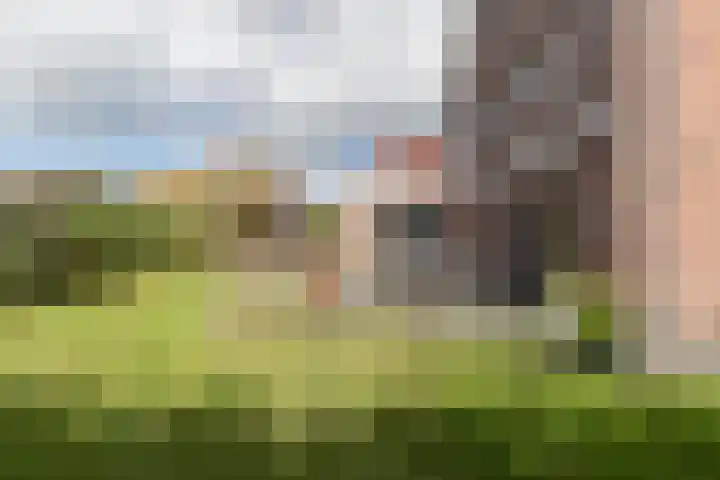Kloosterhout 7 Assen thumbnail 32