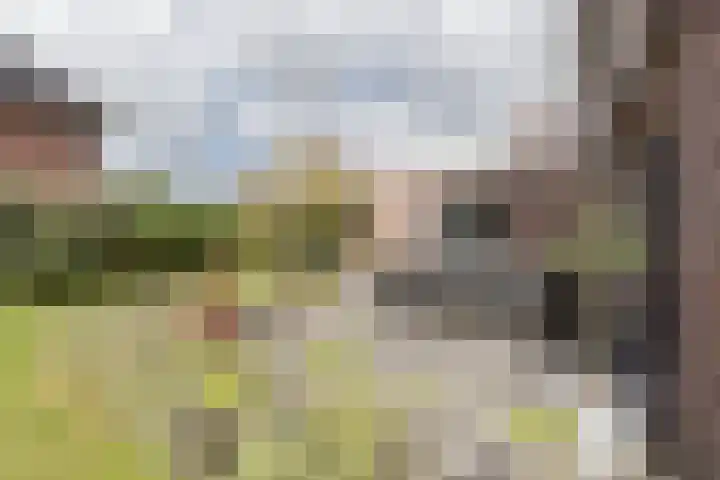 Kloosterhout 7 Assen thumbnail 33