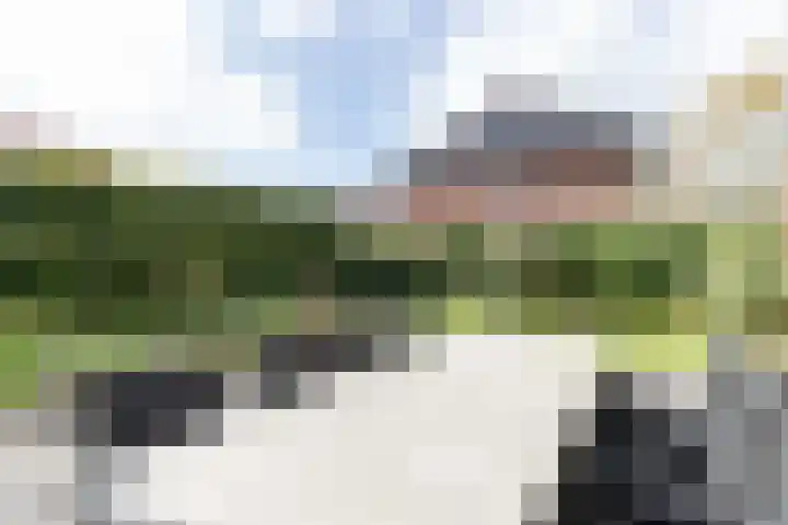 Kloosterhout 7 Assen thumbnail 34