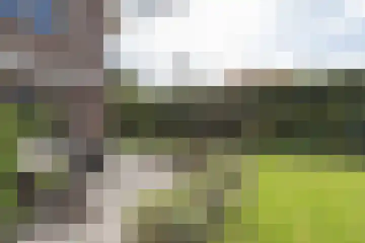 Kloosterhout 7 Assen thumbnail 35