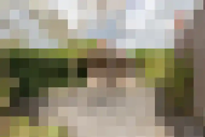 Kloosterhout 7 Assen thumbnail 37