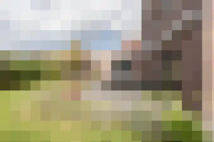 Kloosterhout 7 Assen thumbnail 38