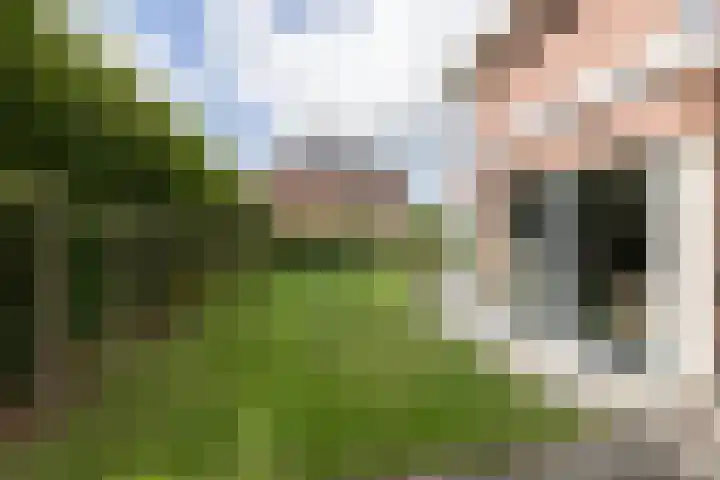 Kloosterhout 7 Assen thumbnail 39