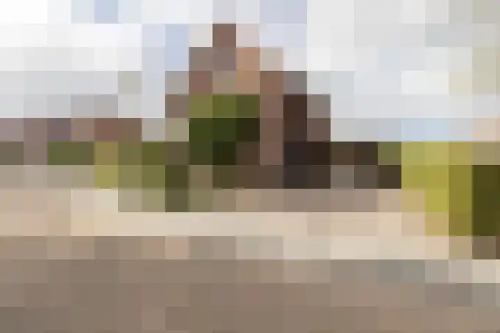 Kloosterhout 7 Assen thumbnail 4
