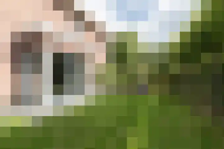 Kloosterhout 7 Assen thumbnail 40