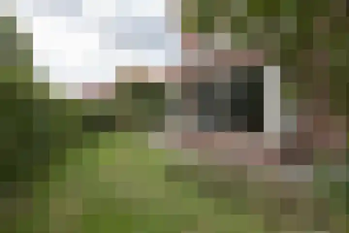 Kloosterhout 7 Assen thumbnail 41