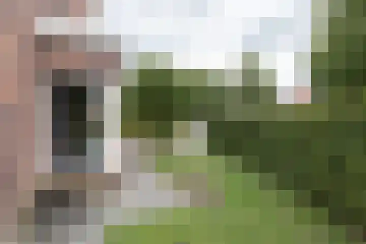 Kloosterhout 7 Assen thumbnail 42