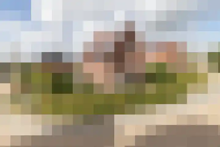 Kloosterhout 7 Assen thumbnail 43