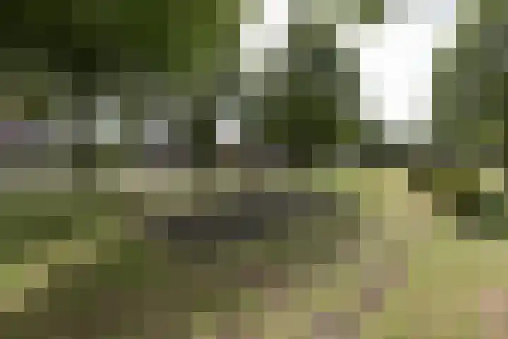 Kloosterhout 7 Assen thumbnail 45