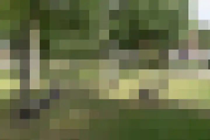 Kloosterhout 7 Assen thumbnail 46
