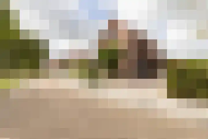 Kloosterhout 7 Assen thumbnail 47
