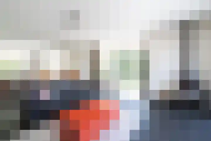 Kloosterhout 7 Assen thumbnail 7