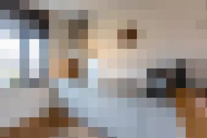 Kloosterkade 11 Delft thumbnail 7