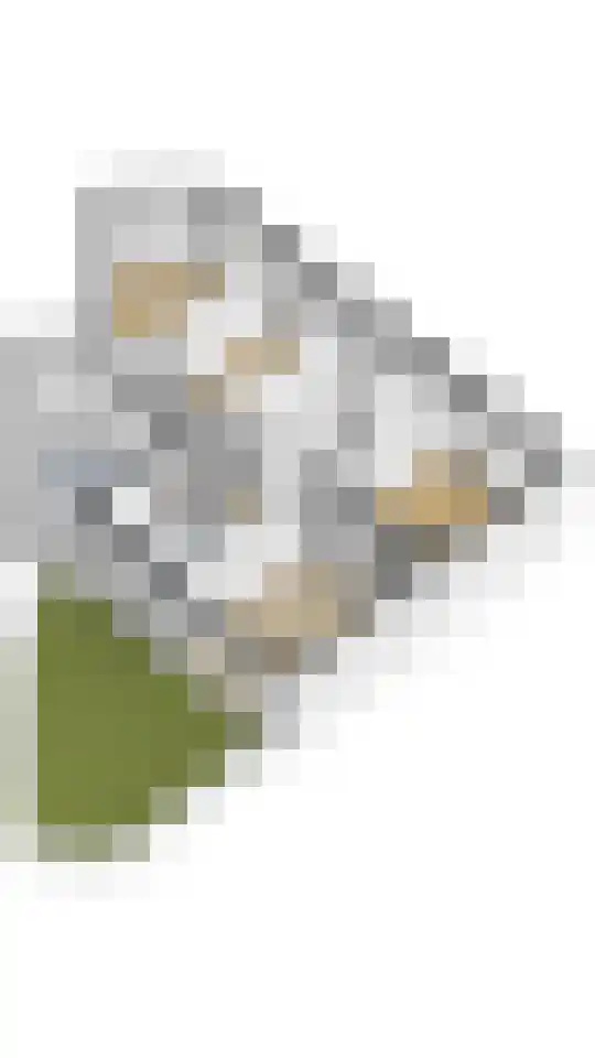 Kloosterkade 169 Delft thumbnail 31