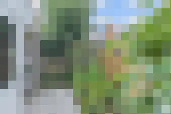 Kloosterkade 196 Delft thumbnail 19