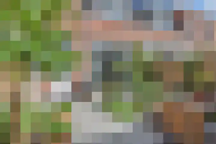 Kloosterkade 196 Delft thumbnail 21