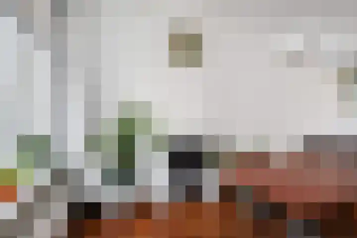 Kloosterkade 196 Delft thumbnail 33