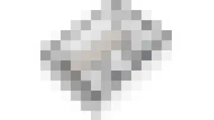 Kloosterkade 196 Delft thumbnail 64