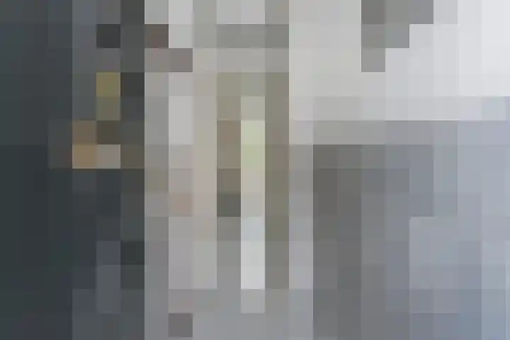 Kloosterkade 196 Delft thumbnail 7