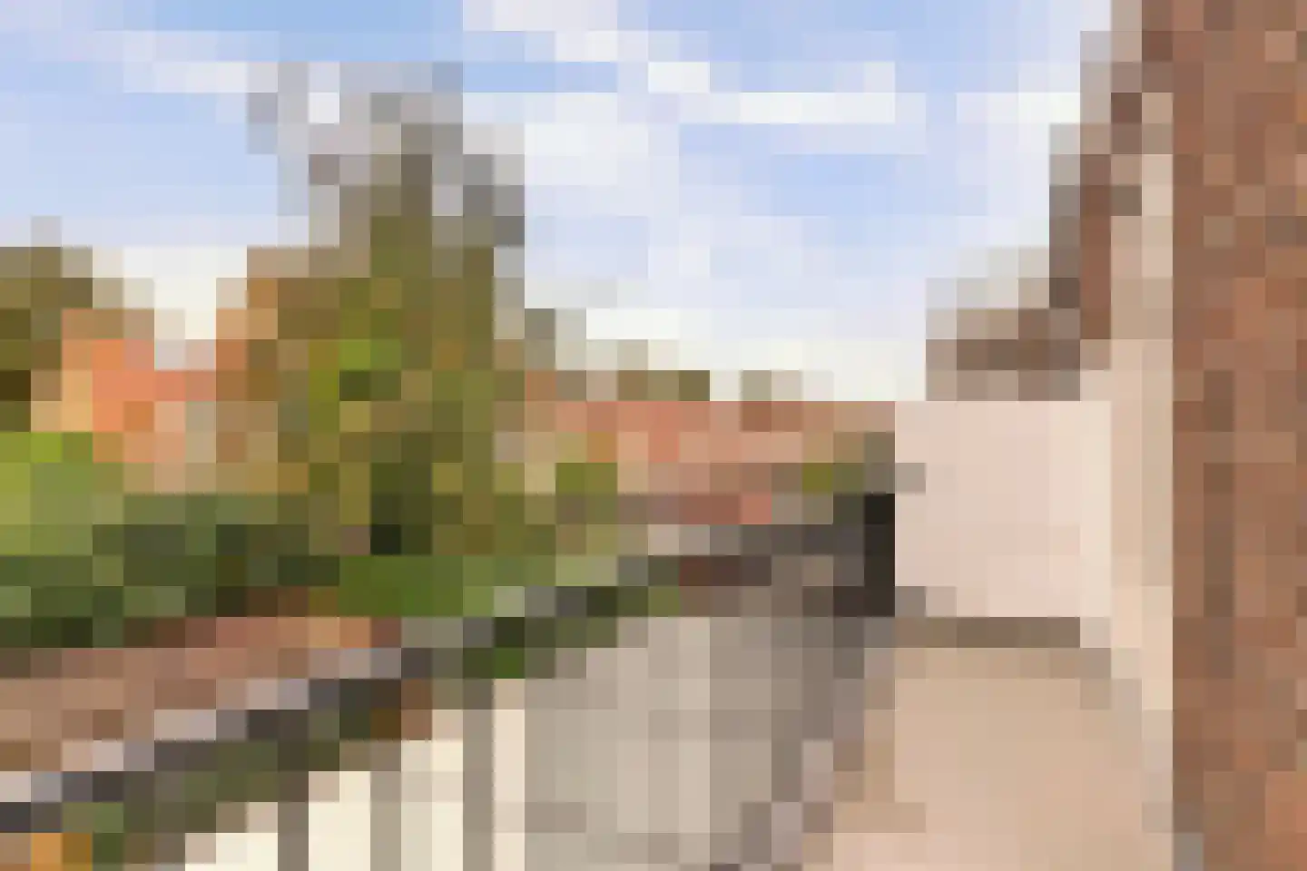 Kloosterkade 216 Delft thumbnail 16
