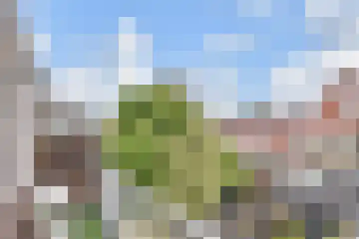 Kloosterkade 218 Delft thumbnail 18