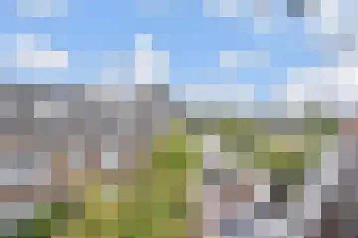 Kloosterkade 218 Delft thumbnail 19