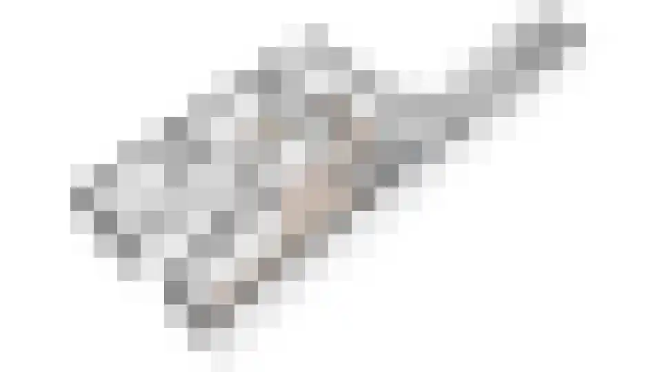 Kloosterkade 240 Delft thumbnail 33