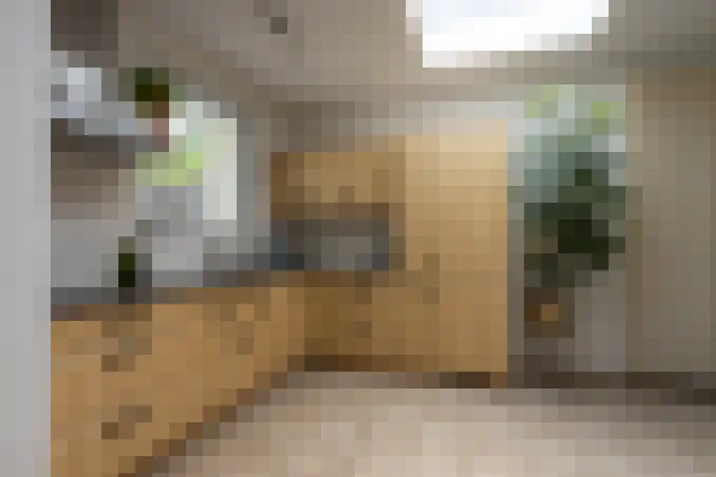Kloosterkoolhof 10 Heerlen thumbnail 17