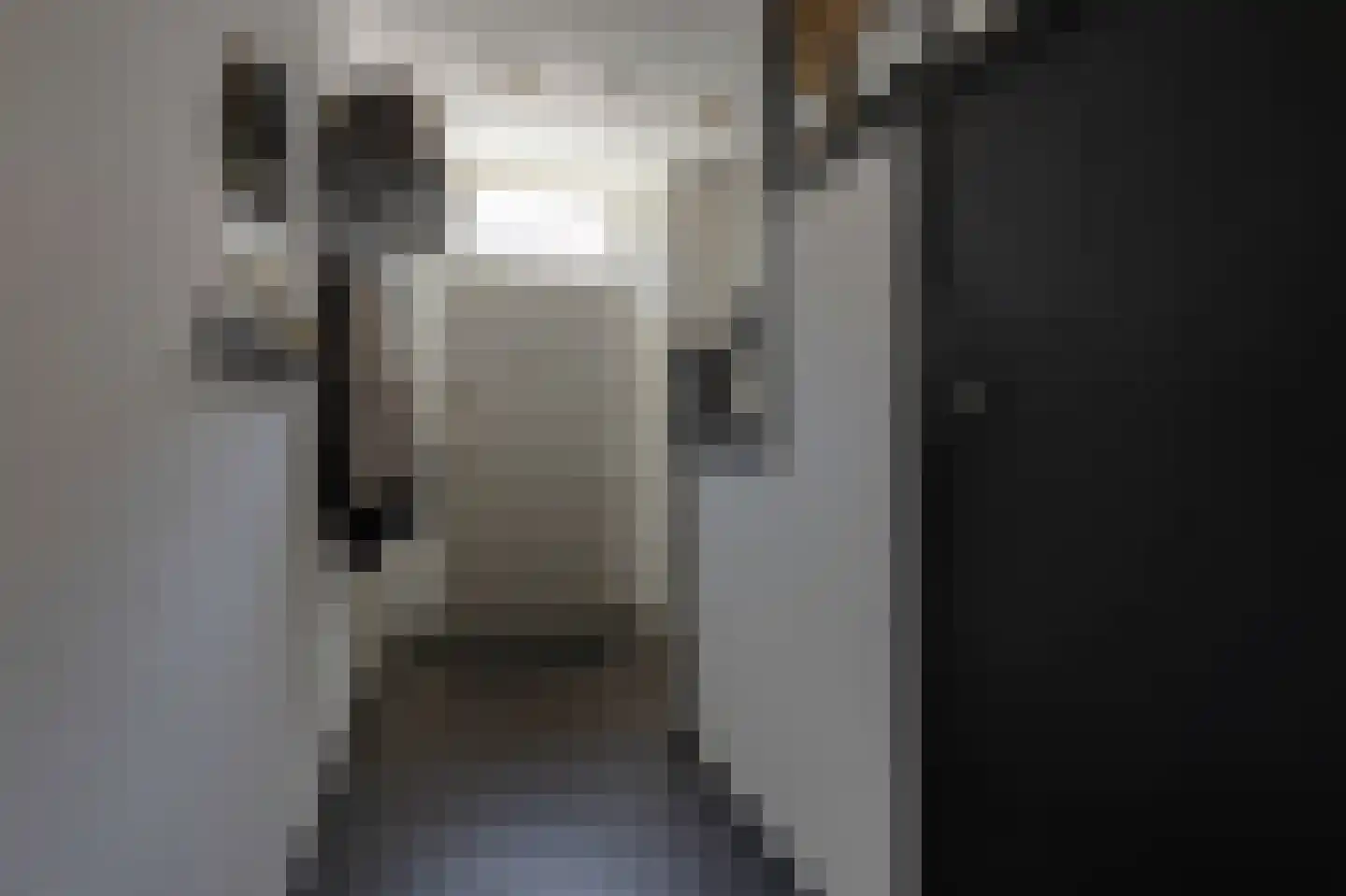 Kloosterkoolhof 10 Heerlen thumbnail 8