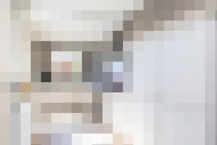 Kloosterkoolhof 75 Heerlen thumbnail 11