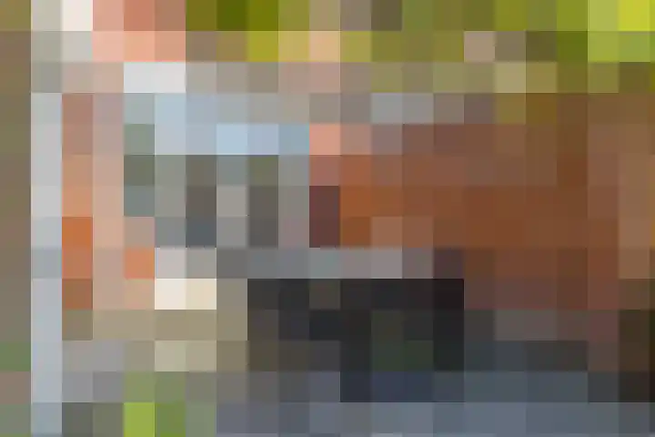 Kloosterkoolhof 75 Heerlen thumbnail 14