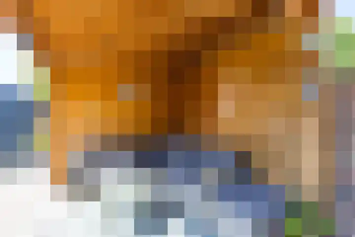 Kloosterkoolhof 75 Heerlen thumbnail 15
