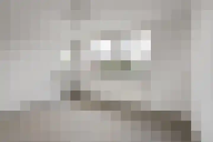 Kloosterlaan 1 Etten-Leur thumbnail 17