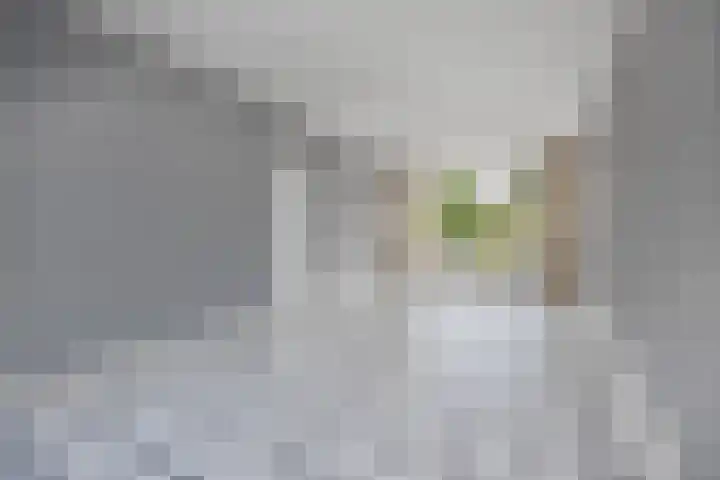 Kloosterlaan 1 Etten-Leur thumbnail 8