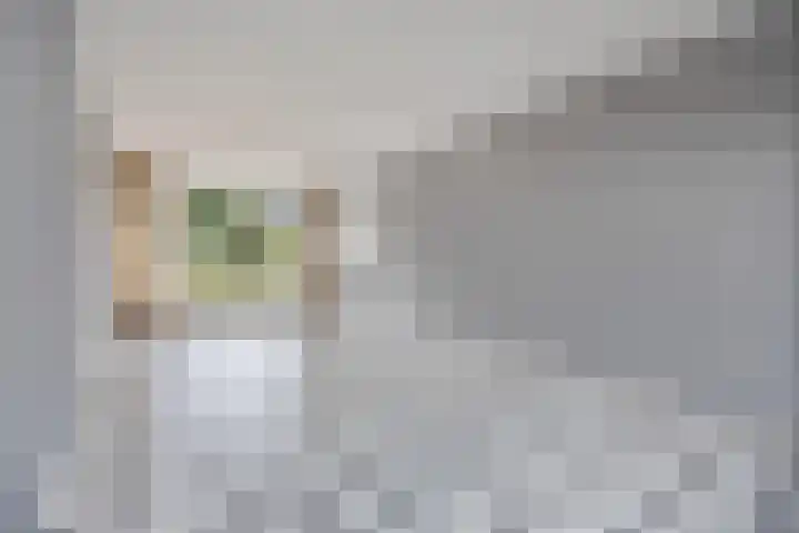Kloosterlaan 1 Etten-Leur thumbnail 9