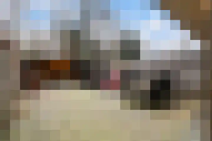 Kloosterlaan 106 Hilversum thumbnail 27