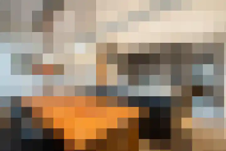 Kloosterlaan 106 Hilversum thumbnail 7