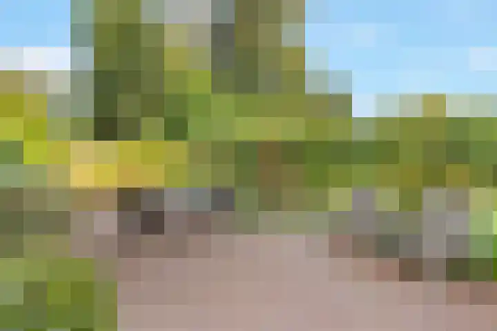 Kloosterlaan 108 Hilversum thumbnail 23