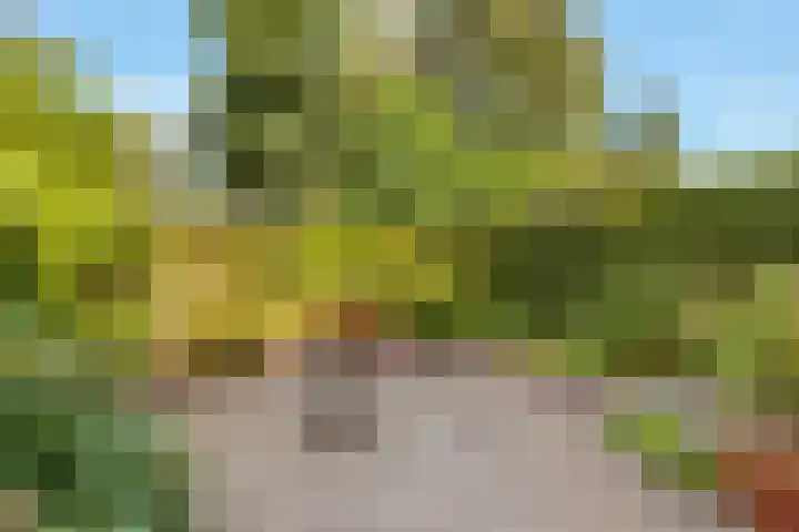 Kloosterlaan 108 Hilversum thumbnail 24