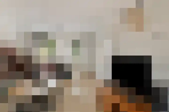 Kloosterlaan 11 Langeweg thumbnail 10